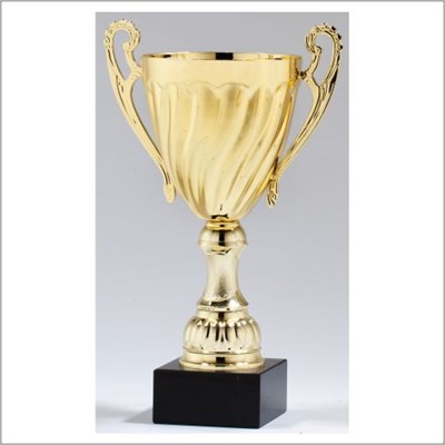 AMC61 Series Metal Trophy